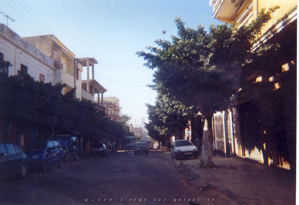 ORAN 2003 03 AVENUE GUYNEMER ET A GAUCHE LA MAISON DE NAVARRO.JPG